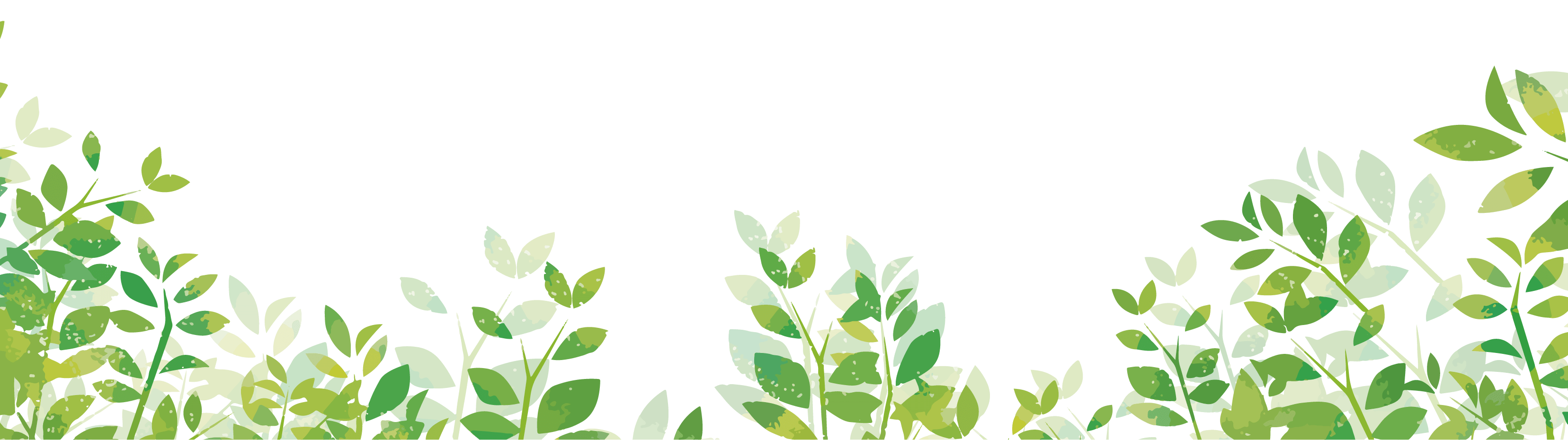 バックイメージ